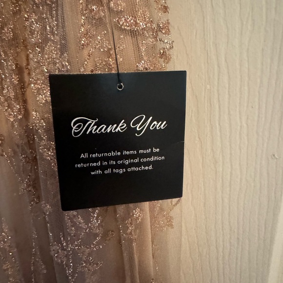 Baltic Born Arlene Shimmer gown size XL. Sold out on Baltic Born site. - Picture 3 of 6